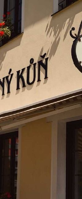 Hotel Černý kůň Humpolec