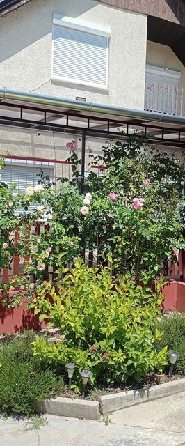 Györkös Vendégház Balatonszárszó