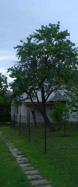 Szépkilátó Apartman Csopak