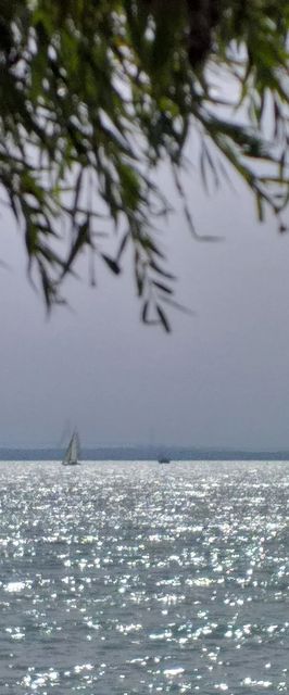 Pipitér Faház Balatonfűzfő