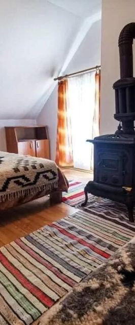 Cãbãnuța din pãdure Băile Borșa