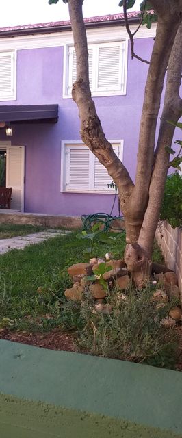 Kuća za Odmor Bella Jadranovo