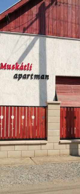 Muskátli Apartman Tiszafüred