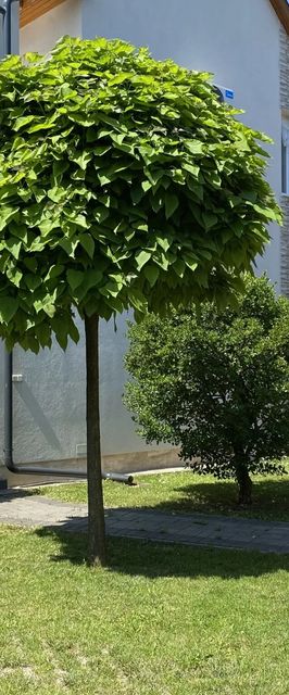 Magyar Apartman III. Hajdúszoboszló