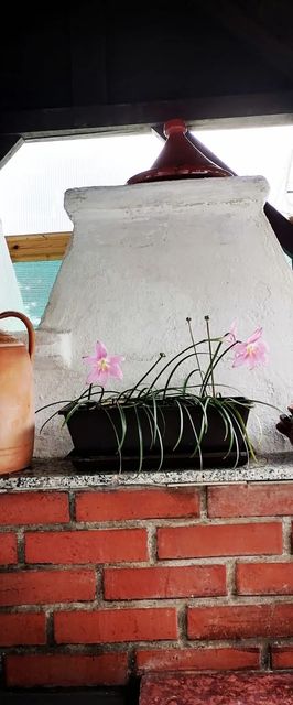 Kamilla Apartman Tiszafüred