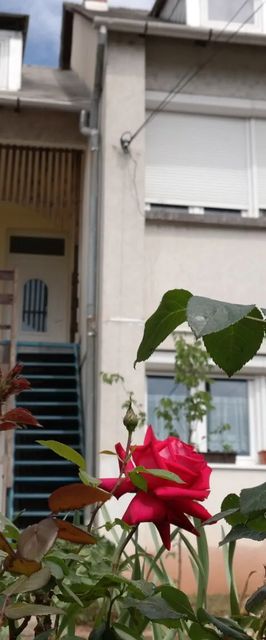 Napraforgó Vendégház Balatonfüred