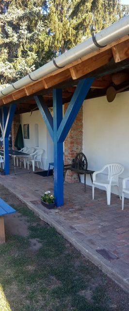 Pásztor Tanya Nyíregyháza