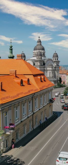 Pensiunea Haller Boutique Târgu Mureș