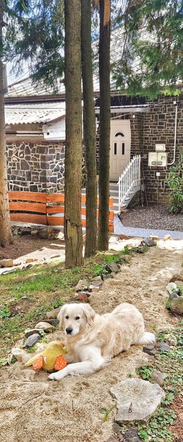 Mountain Home Galyatető Mátraszentimre