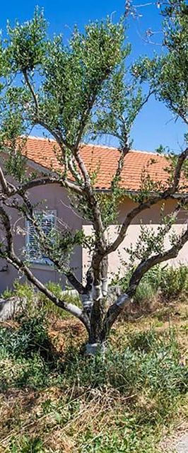 Apartman Vrbnik - CKI339