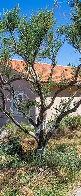 Apartman Vrbnik - CKI339