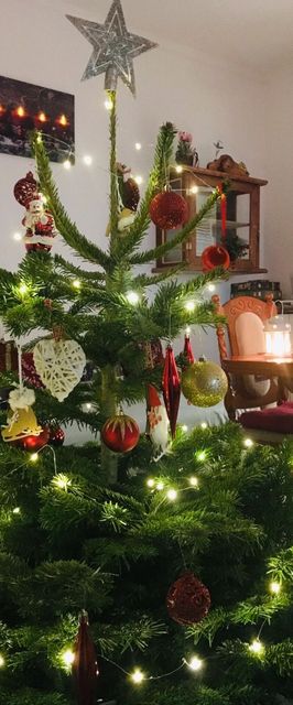 Panoráma Vendégház Bodony