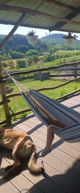 Csendár Ház Tapolca