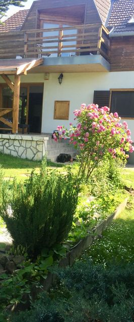 Tulipán Ház Szentendre