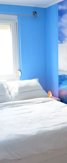 Alisca Kuckó Szekszárd