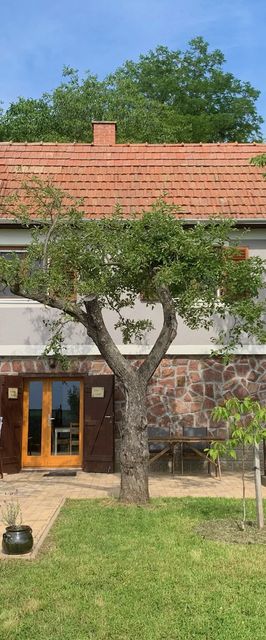 Berkenyés Házikó Szőlősgyörök