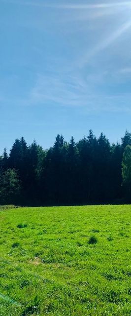 Cabana Karina Dealu Negru