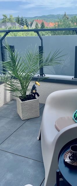 Madagascar Apartman Keszthely