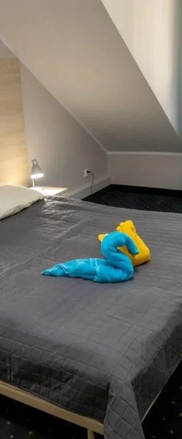 Zacisze Natura Tour Spała