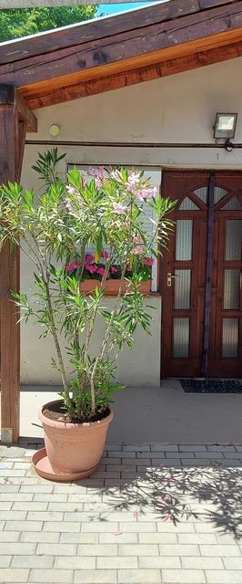 Tiszavirág Vendégház Tiszakürt