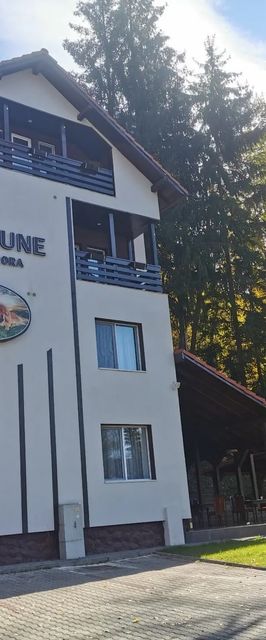 Pensiunea Thor și Cora Sovata