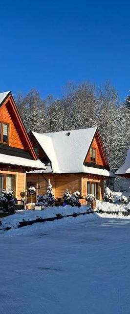 Żabie Dworki Witów Luxury Chalets