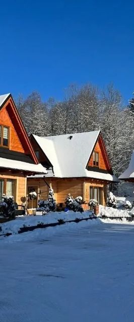 Żabie Dworki Witów Luxury Chalets