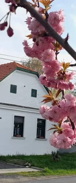 Fűszeres Porta Mihályfa