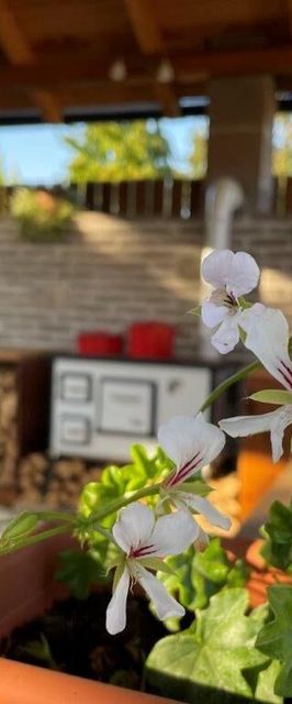 Szőlőszem Vendégház Abádszalók