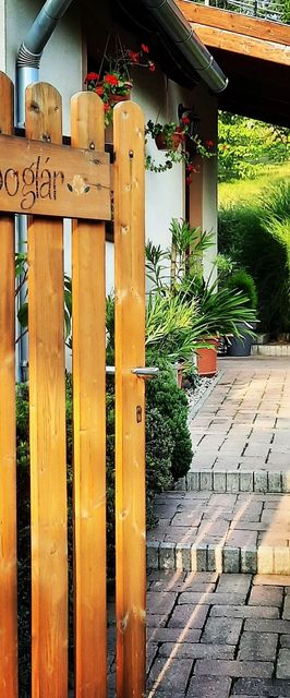 Zergeboglár Vendégház Ajkarendek