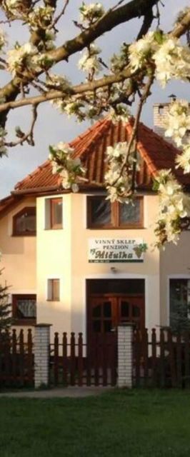 Penzion a Vinný sklep Mičulka Blatnička