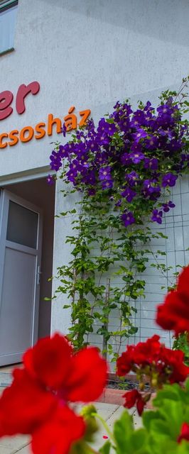 Casa de la Fermă Corund