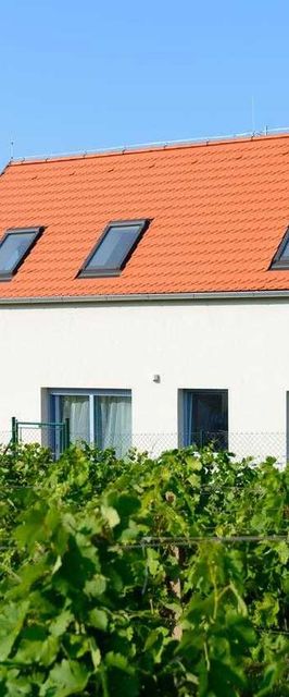 Vila Henrieta Pavlov ubytování v srdci Pálavy