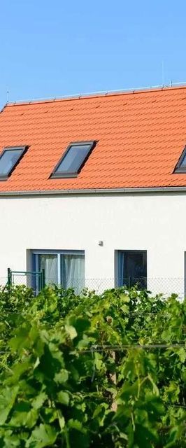 Vila Henrieta Pavlov ubytování v srdci Pálavy