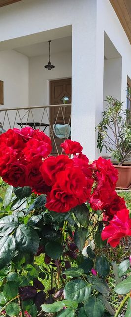 Egyszervolt Házikó Tiszafüred