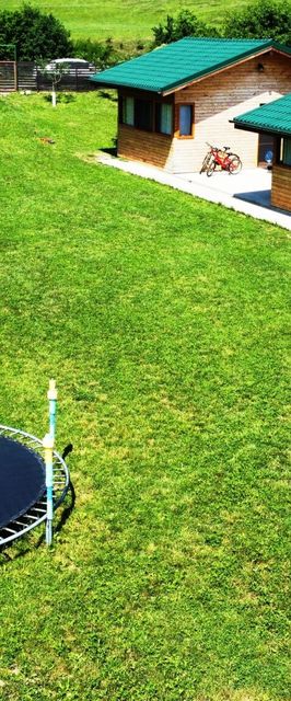 Casa de vacanță La Livadă Valea Danului