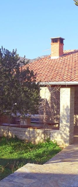 House Pygmy Cormorant Pirovac