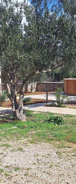 House Pool House Lake by the sea Pirovac