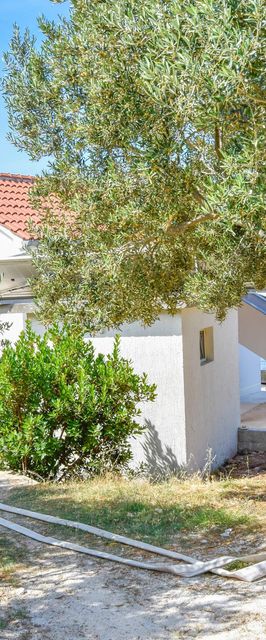 House Pine Shadow Pasman