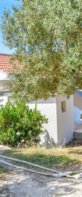 House Pine Shadow Pasman