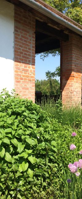 Málnazöld Vendégház Szatta