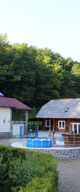 Cabana La Cretu Rozavlea