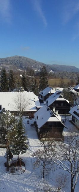 Naturel Hoteldorf Seeleitn