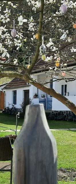 Kiskilenc Vendégház Szarvaskő