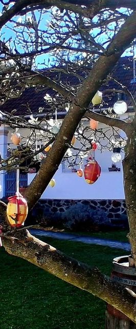 Kiskilenc Vendégház Szarvaskő