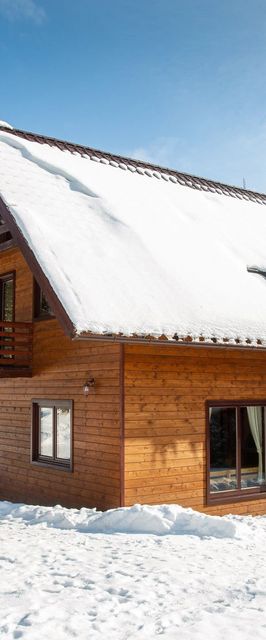 Cabana Szabina Borzont