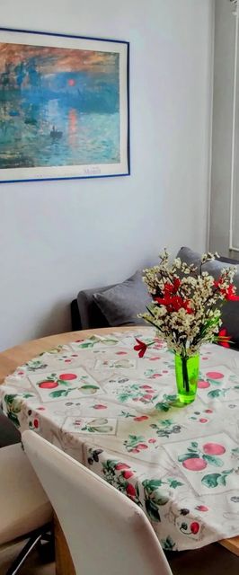 Clara Apartman Csopak