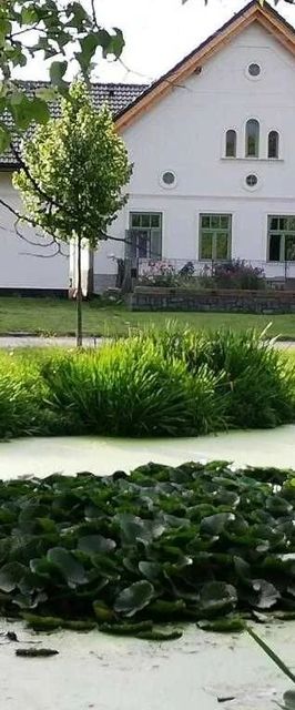 Sodomkův statek Czap Skuteč