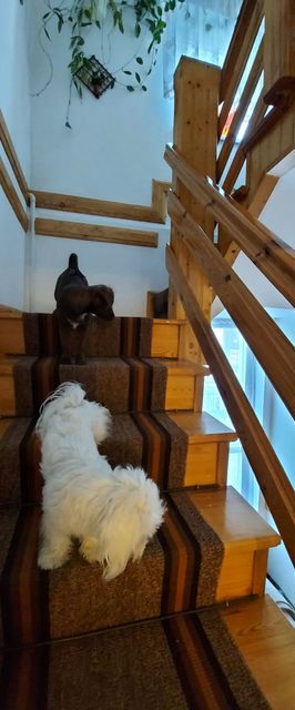 Pokoje Magma Grzybowo