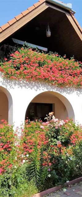 Noé Apartman Várvölgy